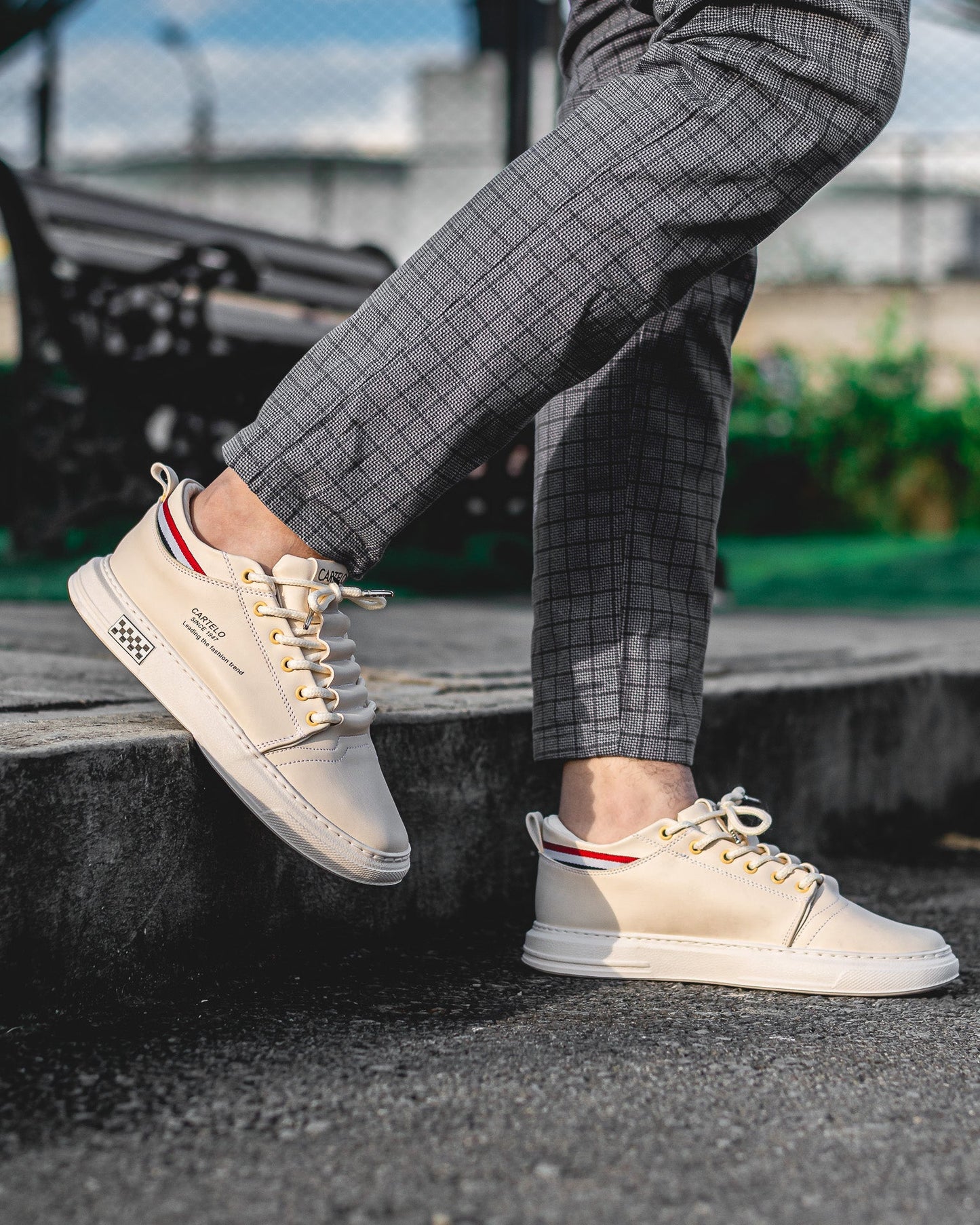 gid://shopify/MediaImage/25707840798790